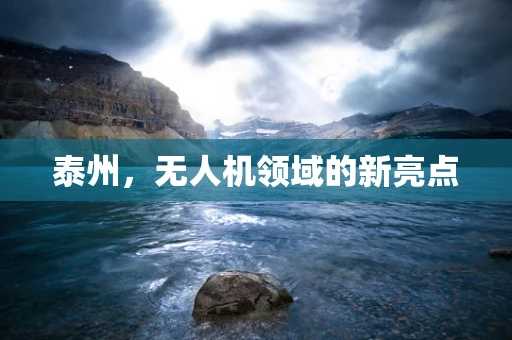 泰州，无人机领域的新亮点