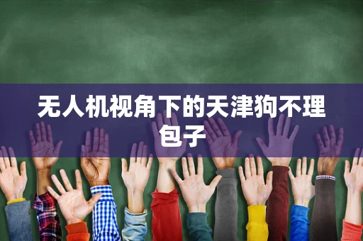 无人机视角下的天津狗不理包子