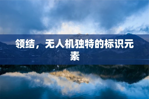 领结，无人机独特的标识元素