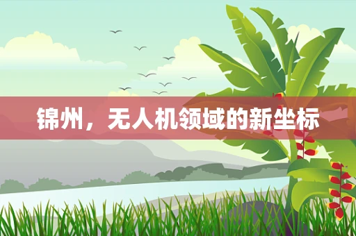 锦州，无人机领域的新坐标