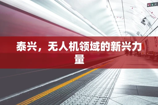 泰兴，无人机领域的新兴力量