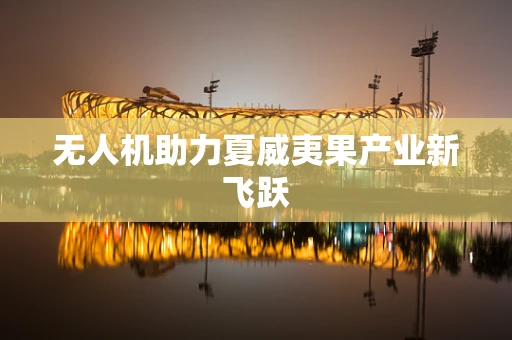 无人机助力夏威夷果产业新飞跃