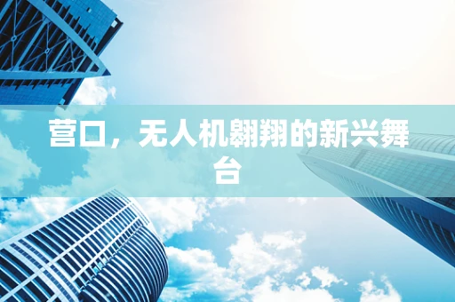 营口，无人机翱翔的新兴舞台