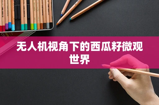 无人机视角下的西瓜籽微观世界