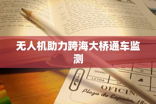 无人机助力跨海大桥通车监测