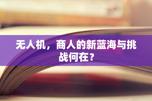 无人机，商人的新蓝海与挑战何在？