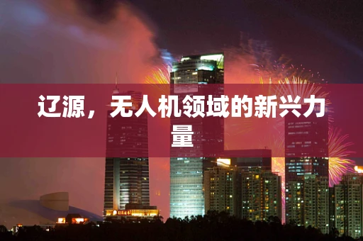 辽源，无人机领域的新兴力量