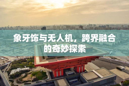 象牙饰与无人机，跨界融合的奇妙探索