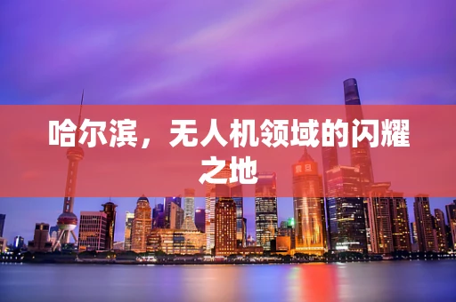 哈尔滨，无人机领域的闪耀之地