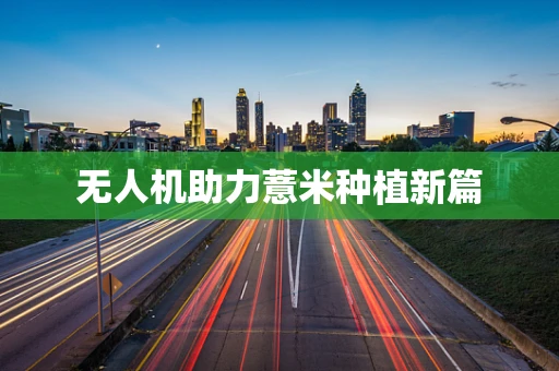 无人机助力薏米种植新篇
