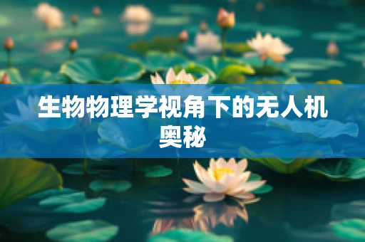 生物物理学视角下的无人机奥秘