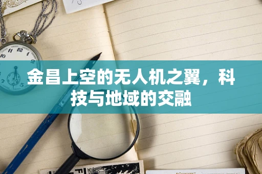金昌上空的无人机之翼，科技与地域的交融