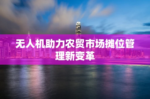 无人机助力农贸市场摊位管理新变革
