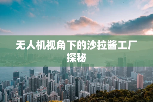 无人机视角下的沙拉酱工厂探秘