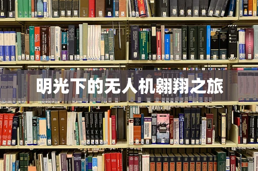 明光下的无人机翱翔之旅