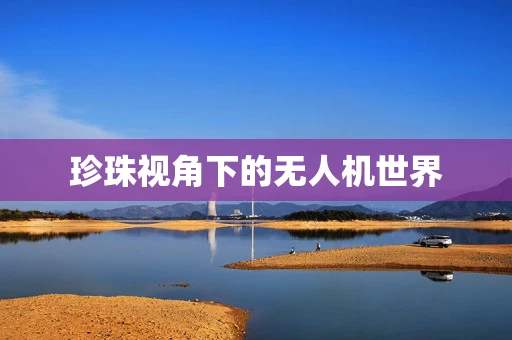 珍珠视角下的无人机世界