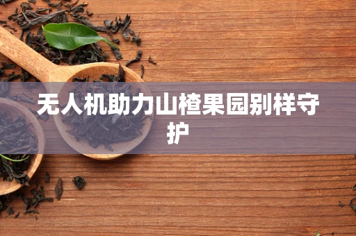 无人机助力山楂果园别样守护