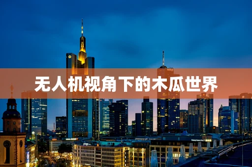 无人机视角下的木瓜世界