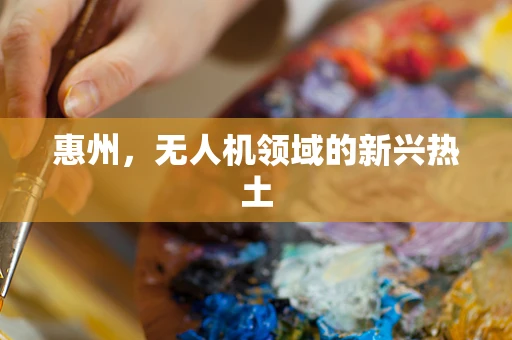 惠州，无人机领域的新兴热土