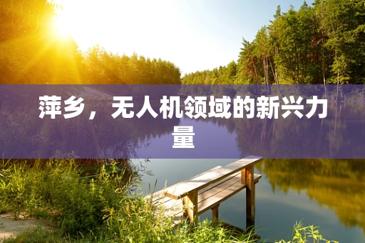 萍乡，无人机领域的新兴力量