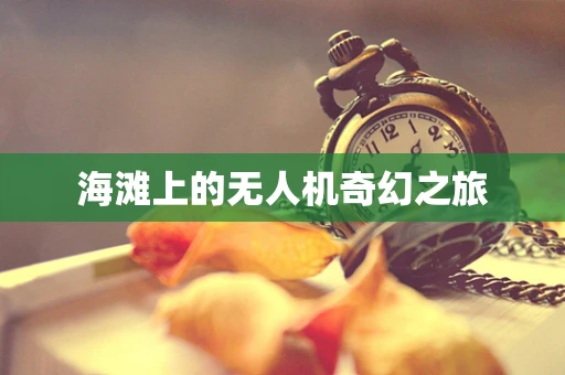 海滩上的无人机奇幻之旅