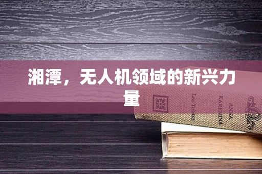 湘潭，无人机领域的新兴力量