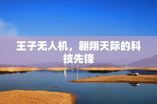 王子无人机，翱翔天际的科技先锋