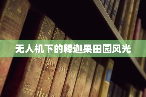 无人机下的释迦果田园风光