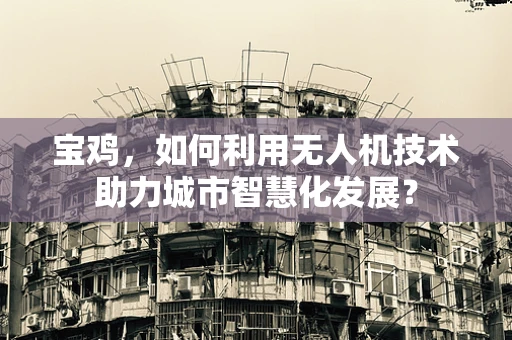 宝鸡，如何利用无人机技术助力城市智慧化发展？