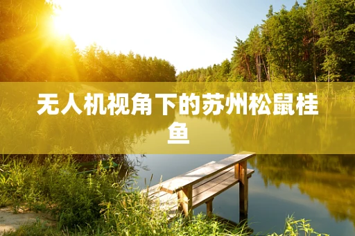 无人机视角下的苏州松鼠桂鱼