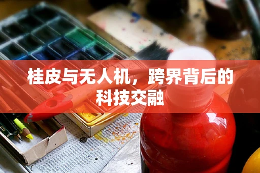 桂皮与无人机，跨界背后的科技交融