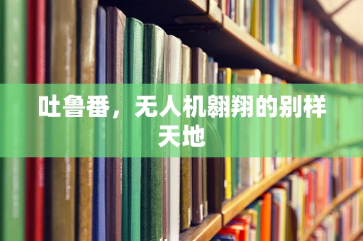吐鲁番，无人机翱翔的别样天地