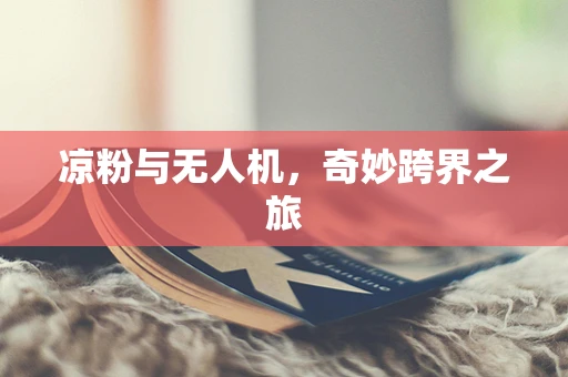 凉粉与无人机，奇妙跨界之旅