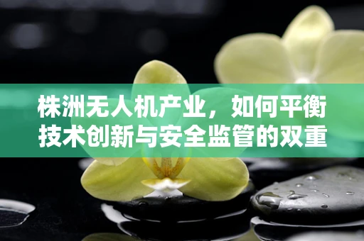 株洲无人机产业，如何平衡技术创新与安全监管的双重挑战？