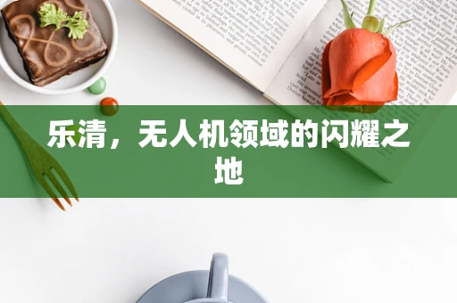 乐清，无人机领域的闪耀之地