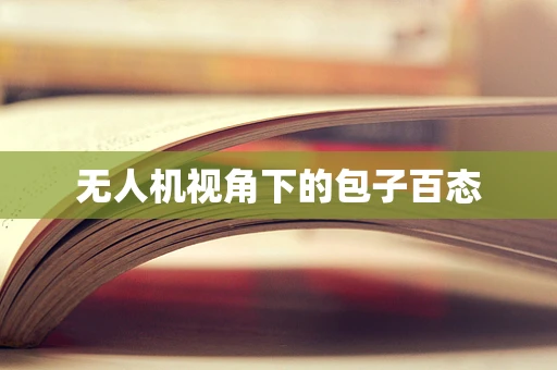 无人机视角下的包子百态