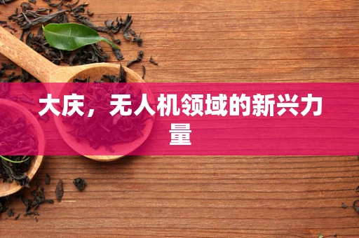 大庆，无人机领域的新兴力量