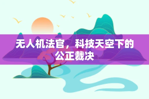 无人机法官，科技天空下的公正裁决