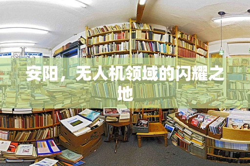 安阳，无人机领域的闪耀之地