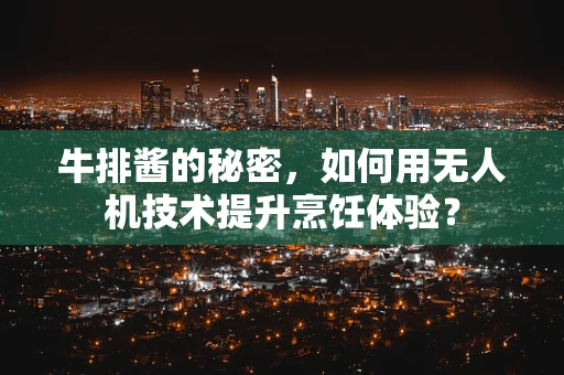 牛排酱的秘密，如何用无人机技术提升烹饪体验？