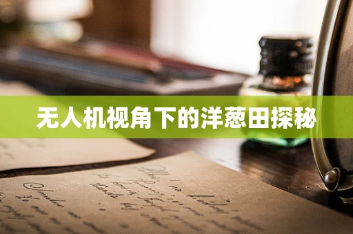 无人机视角下的洋葱田探秘