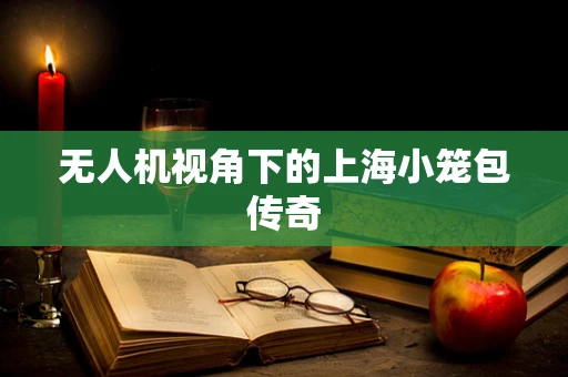 无人机视角下的上海小笼包传奇