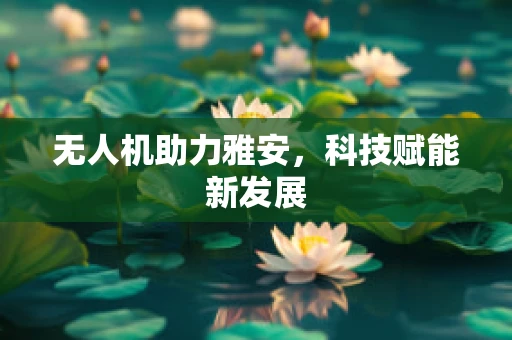 无人机助力雅安，科技赋能新发展