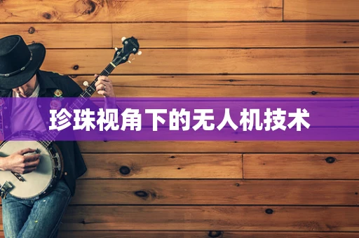 珍珠视角下的无人机技术