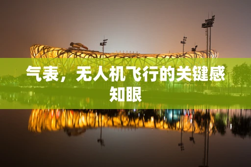 气表，无人机飞行的关键感知眼