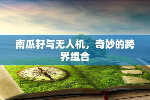 南瓜籽与无人机，奇妙的跨界组合