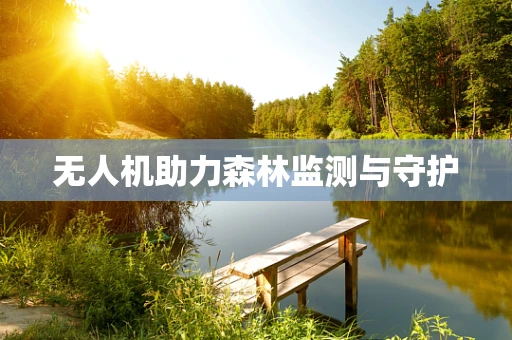 无人机助力森林监测与守护