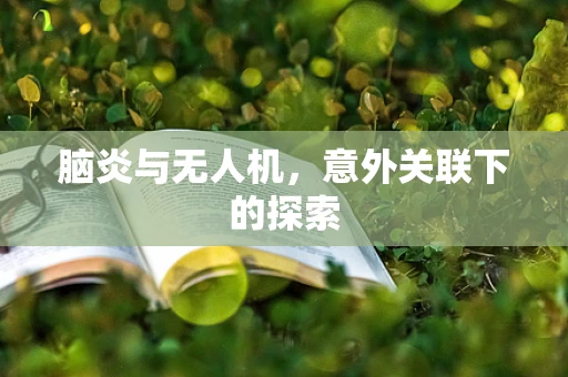 脑炎与无人机，意外关联下的探索