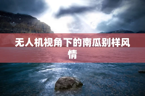 无人机视角下的南瓜别样风情