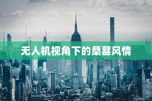 无人机视角下的桑葚风情